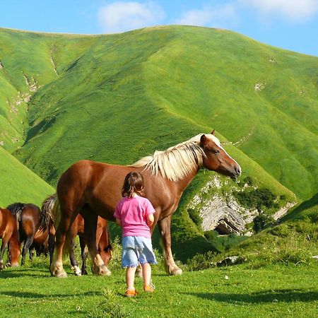 Agroturismo Mari Cruz Villanueva de Arce ภายนอก รูปภาพ