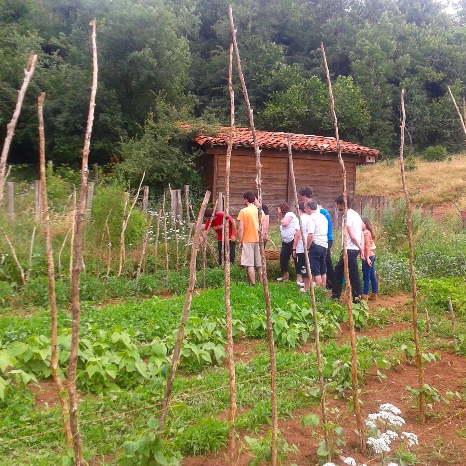 Agroturismo Mari Cruz Villanueva de Arce ภายนอก รูปภาพ