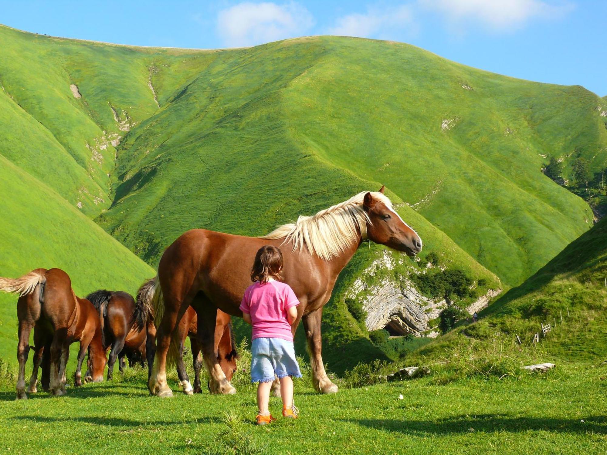 Agroturismo Mari Cruz Villanueva de Arce ภายนอก รูปภาพ