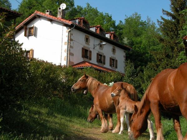 Agroturismo Mari Cruz Villanueva de Arce ภายนอก รูปภาพ