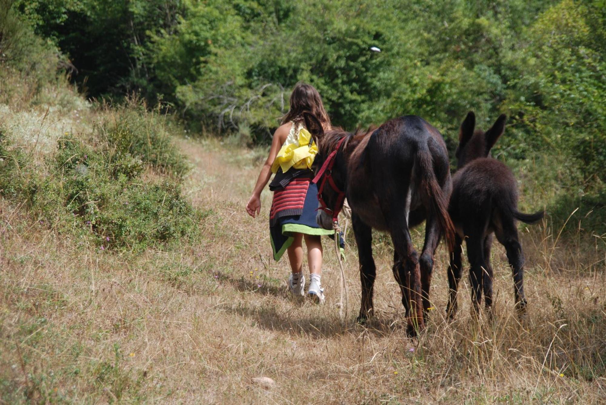 Agroturismo Mari Cruz Villanueva de Arce ภายนอก รูปภาพ