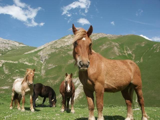 Agroturismo Mari Cruz Villanueva de Arce ภายนอก รูปภาพ